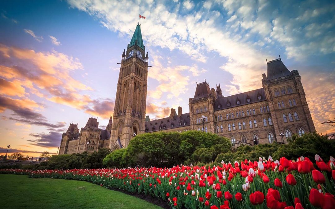 Exploring Sivananda Yoga in Canada – and Practicing in Ottawa with Michael Hutkins